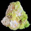 Pyromorphite Crystal Cluster - China #63687-1